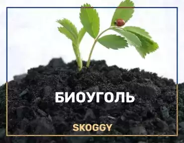 Биоуголь на даче
