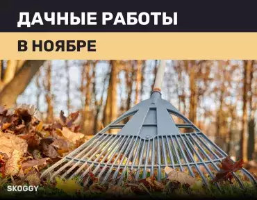 Дачные работы в ноябре